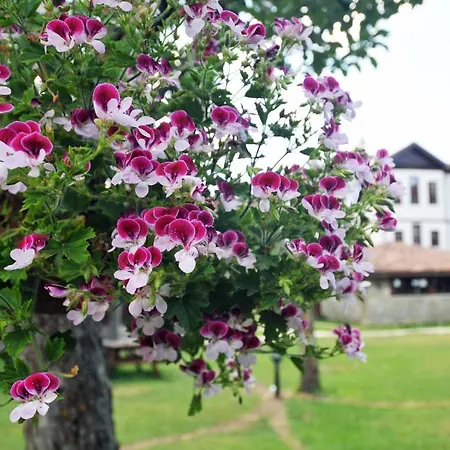 Farma Sadibey Ciftligi Kastamonu